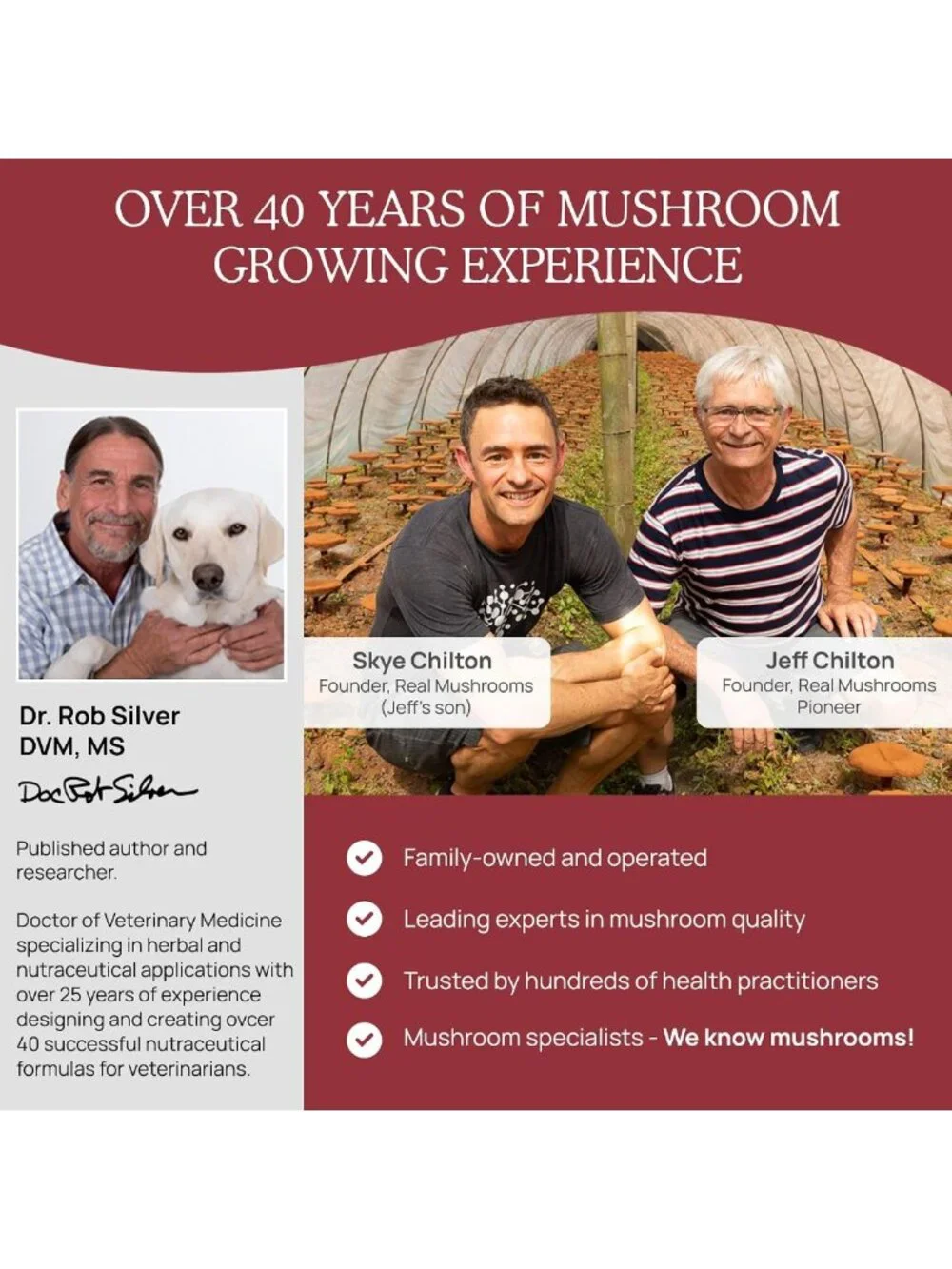 Calming Soft Chews for Dogs & Cats - Reishi & Lion's Mane Treats for Stress